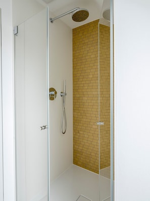 Eine moderne Dusche mit Glastür, Handbrause und einer verstellbaren Deckenbrause.