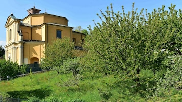 Un edificio amarillo con una torre de campanas, rodeado de abundante vegetación y árboles.