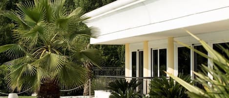 A modern building with a pool, surrounded by tropical plants and a palm tree.