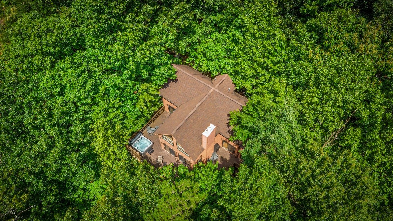 An aerial view of a house surrounded by dense green foliage.