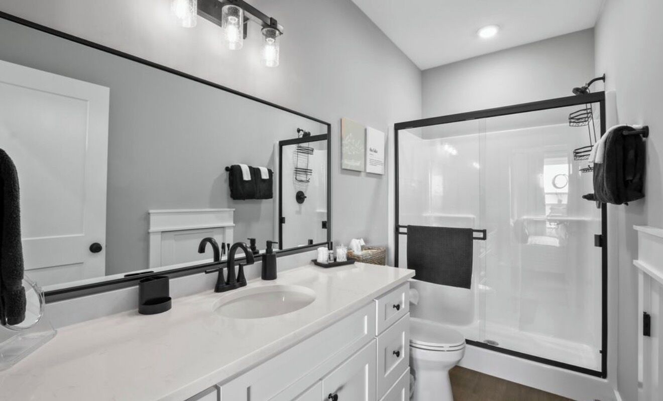 Shower, towels, toilet paper
