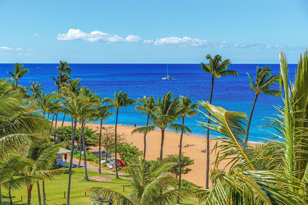 A beach with palm trees, a sandy shore, and a sailboat in the ocean.