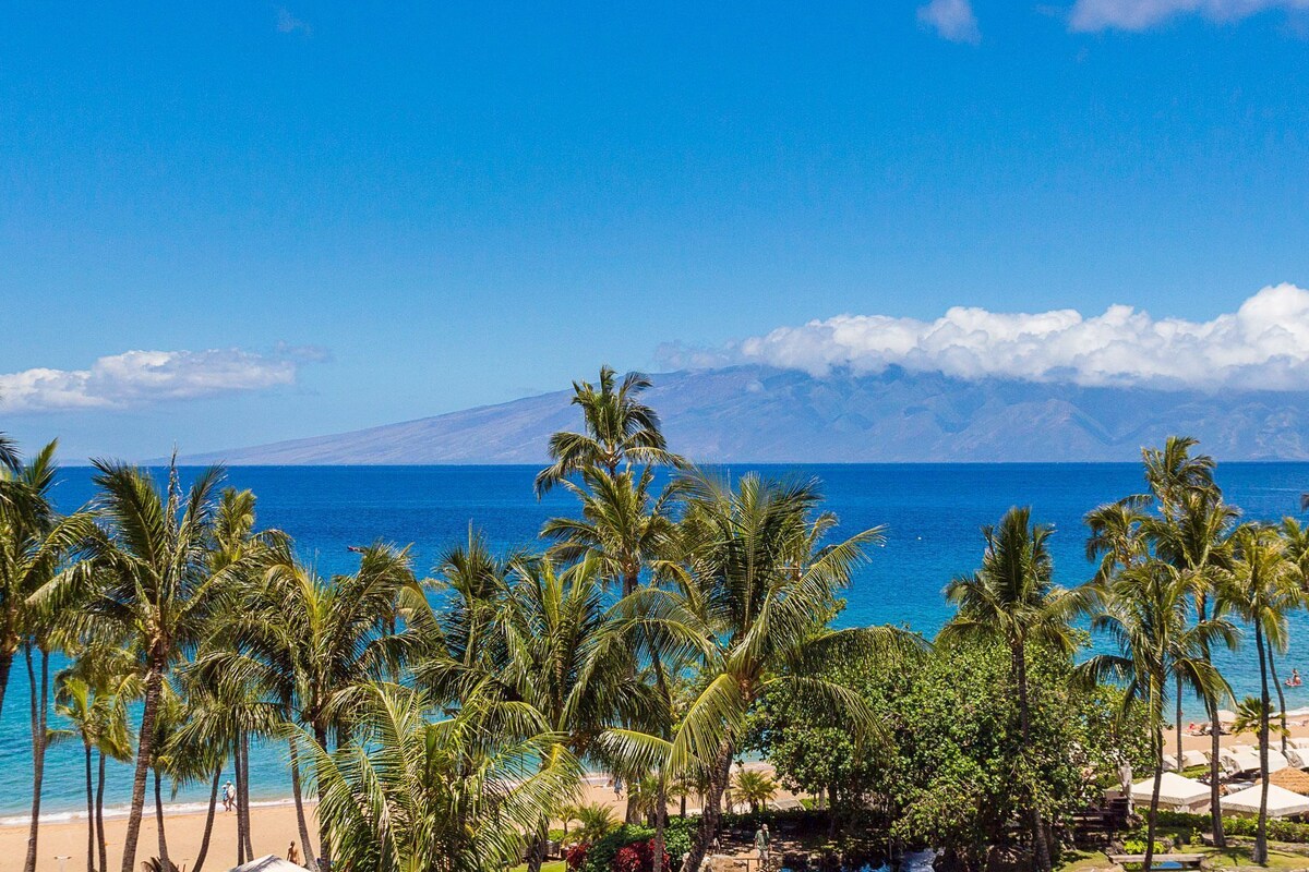 A beach with palm trees, a clear blue sky, and a mountain in the background.