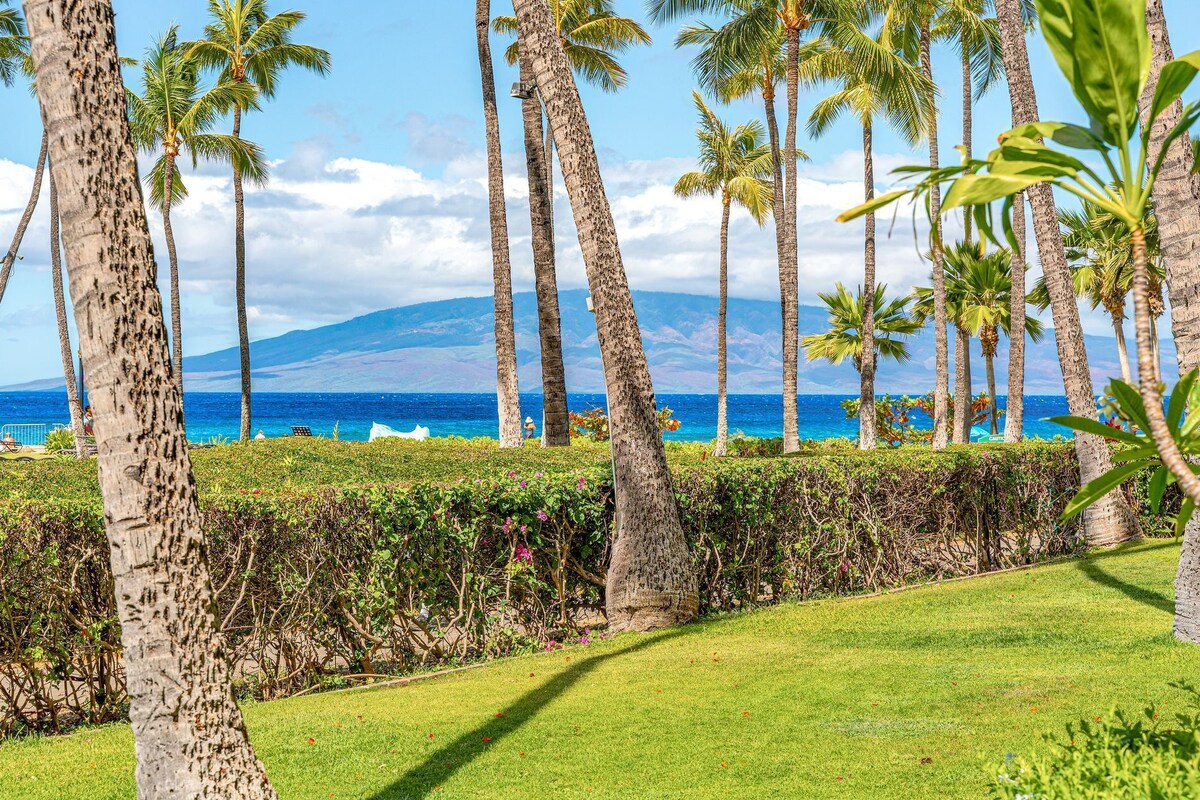 A tropical landscape with palm trees, a grassy area, and a view of the ocean and a mountain in the distance.
