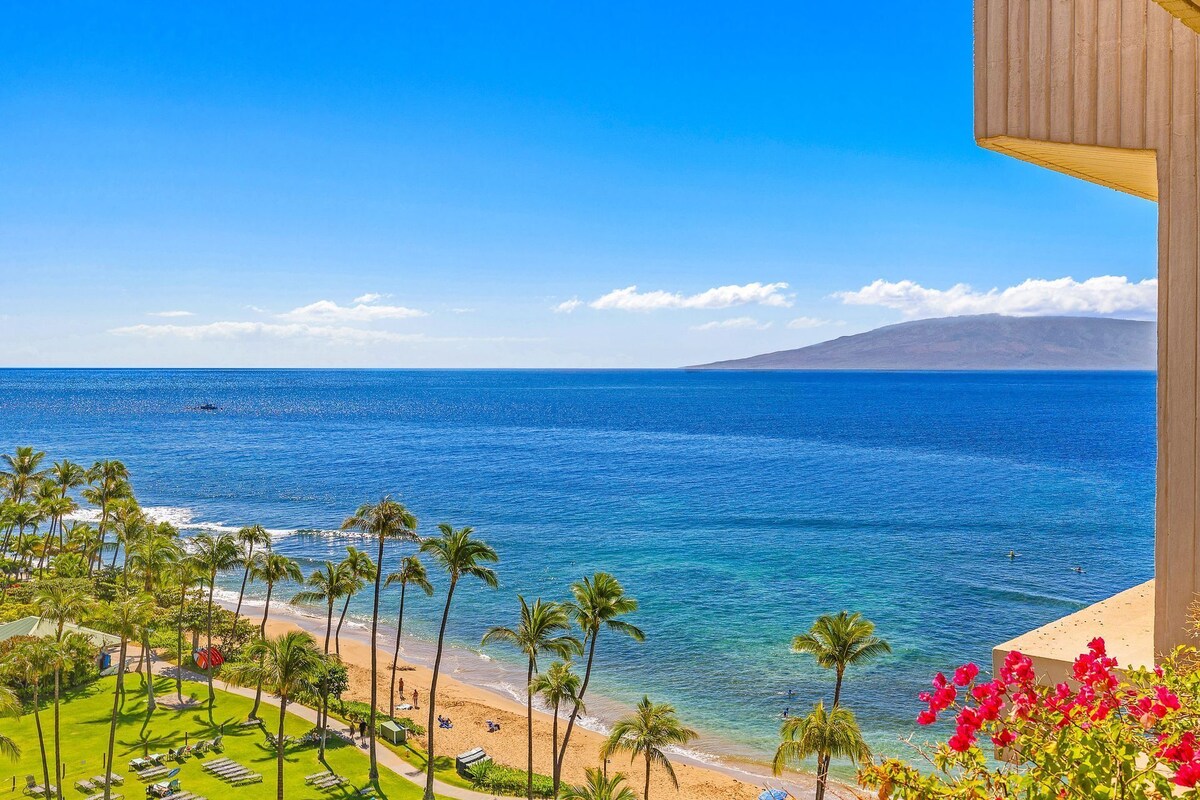A beach view with palm trees, a clear sky, and a distant mountain.