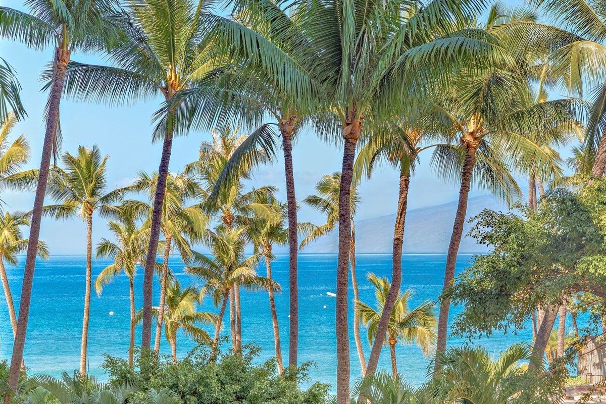 A beach scene with tall palm trees and a clear blue ocean.