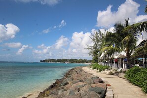 A coastal walkway with a rocky shoreline, palm trees, and a clear view of the ocean.