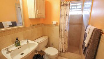 Un baño con lavamanos, inodoro y ducha.