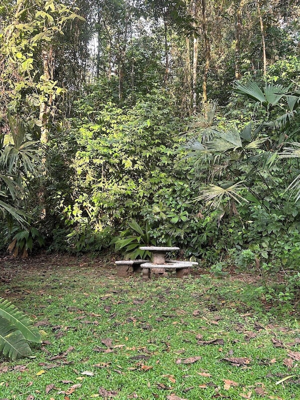 A stone bench in a lush garden with dense foliage and trees in the background.