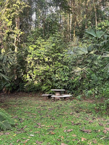 Jungle Hideaway
