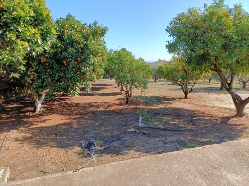 CR LOS OLIVOS