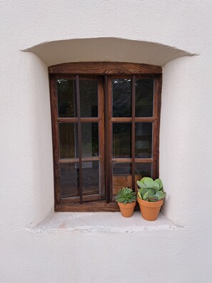 A window with a wooden frame and two potted plants on the sill. - Fabulous, welcoming and rustic
mountain house, perfect for your getaway in Italy (Salter)
