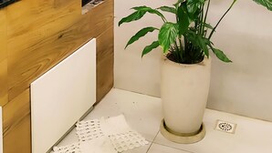 Een keuken met een houten aanrechtblad, een potplant en een hangende kruidenrek.