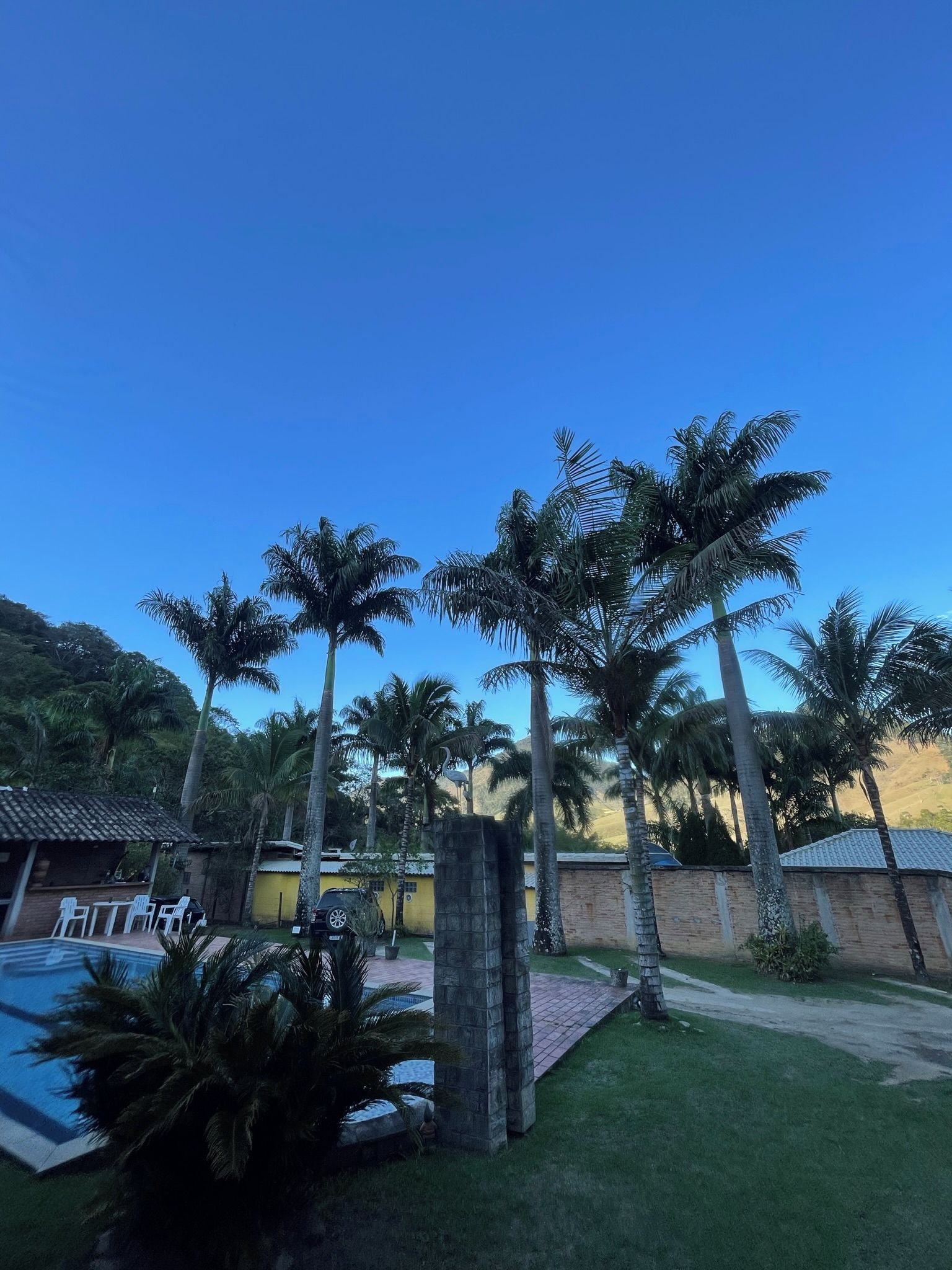 A residential area with a swimming pool, palm trees, and a brick wall.