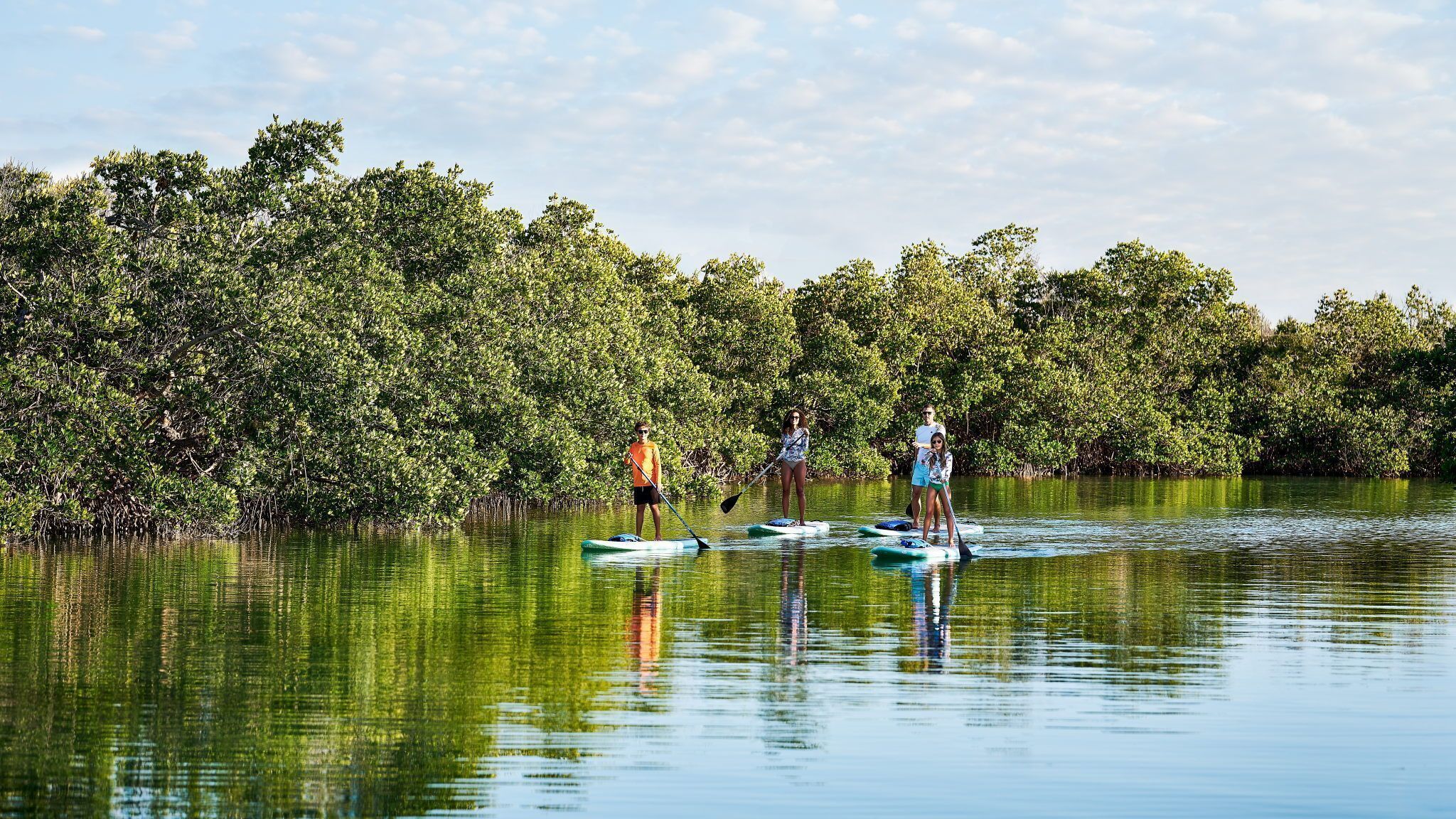 Ruhige Wasserfläche mit Stand-Up-Paddles, umgeben von dichtem Grün.