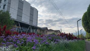A hotel with a modern facade, a landscaped garden with purple flowers, and a clear sky.