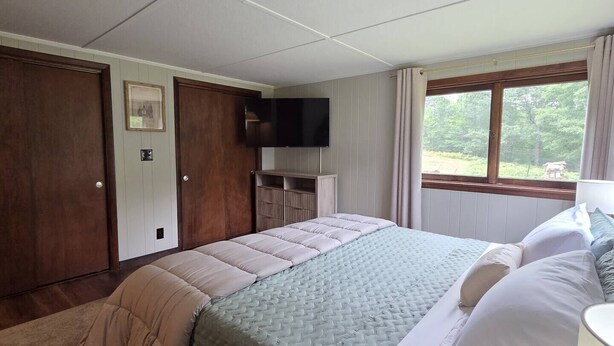 A bedroom with a bed, a television, a window with curtains, and a door. - Cabin with Private Pond - 61 Acres - Close to Gore (Johnsburg)