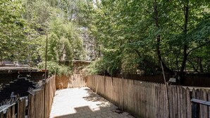 Un sentier étroit, bordé d’une clôture en bois et d’une végétation dense, mène à un bâtiment dont l’entrée est bien visible.