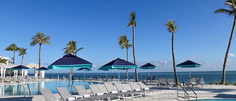 A poolside area with lounge chairs and umbrellas, palm trees, and a view of the ocean.
