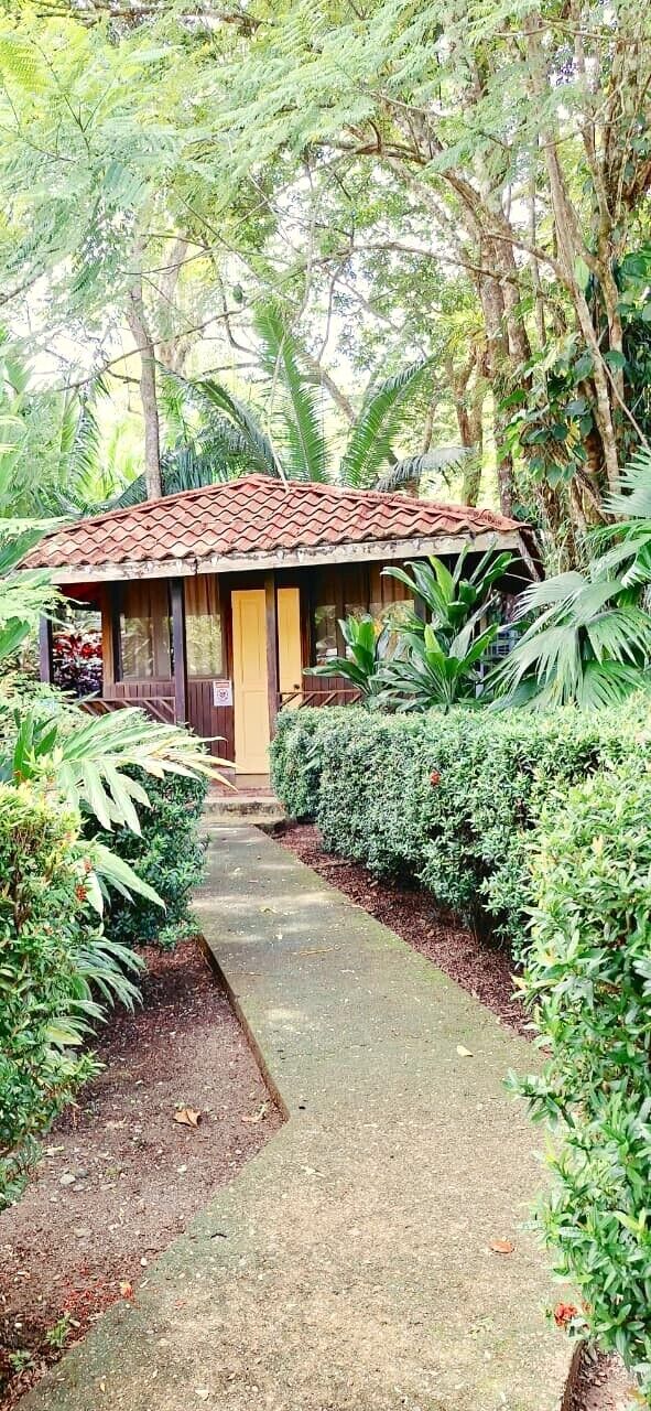 A small building with a tiled roof, surrounded by dense greenery and a concrete pathway leading to it.