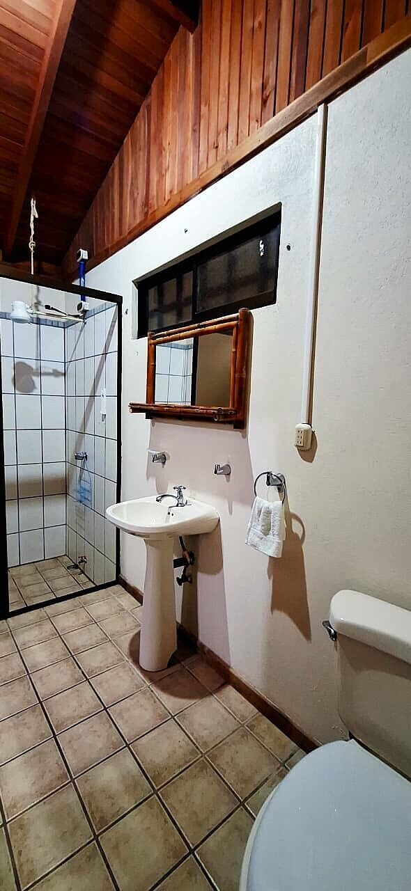 Une salle de bain avec douche, lavabo et toilettes.
