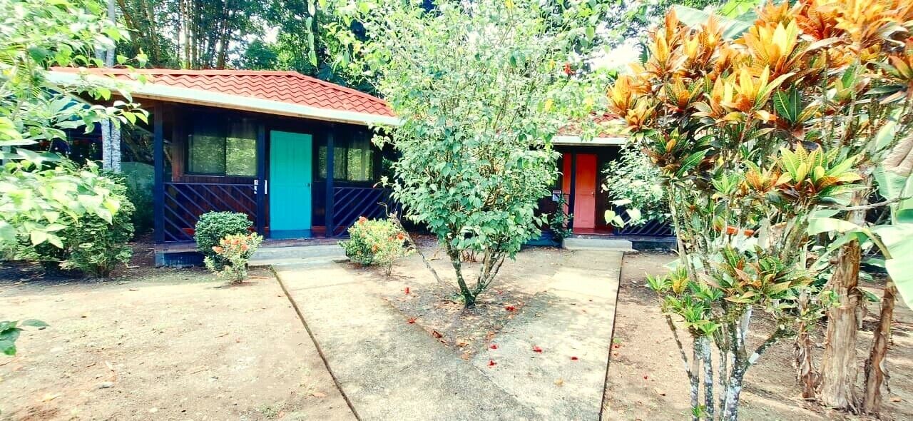 A building with a red-tiled roof, a small garden area with a tree, and a pathway leading to the entrance.