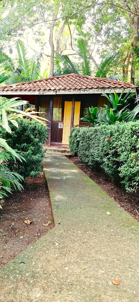 Um edifício com telhado de azulejos, rodeado por sebes bem cuidadas e um caminho pavimentado que leva à entrada.