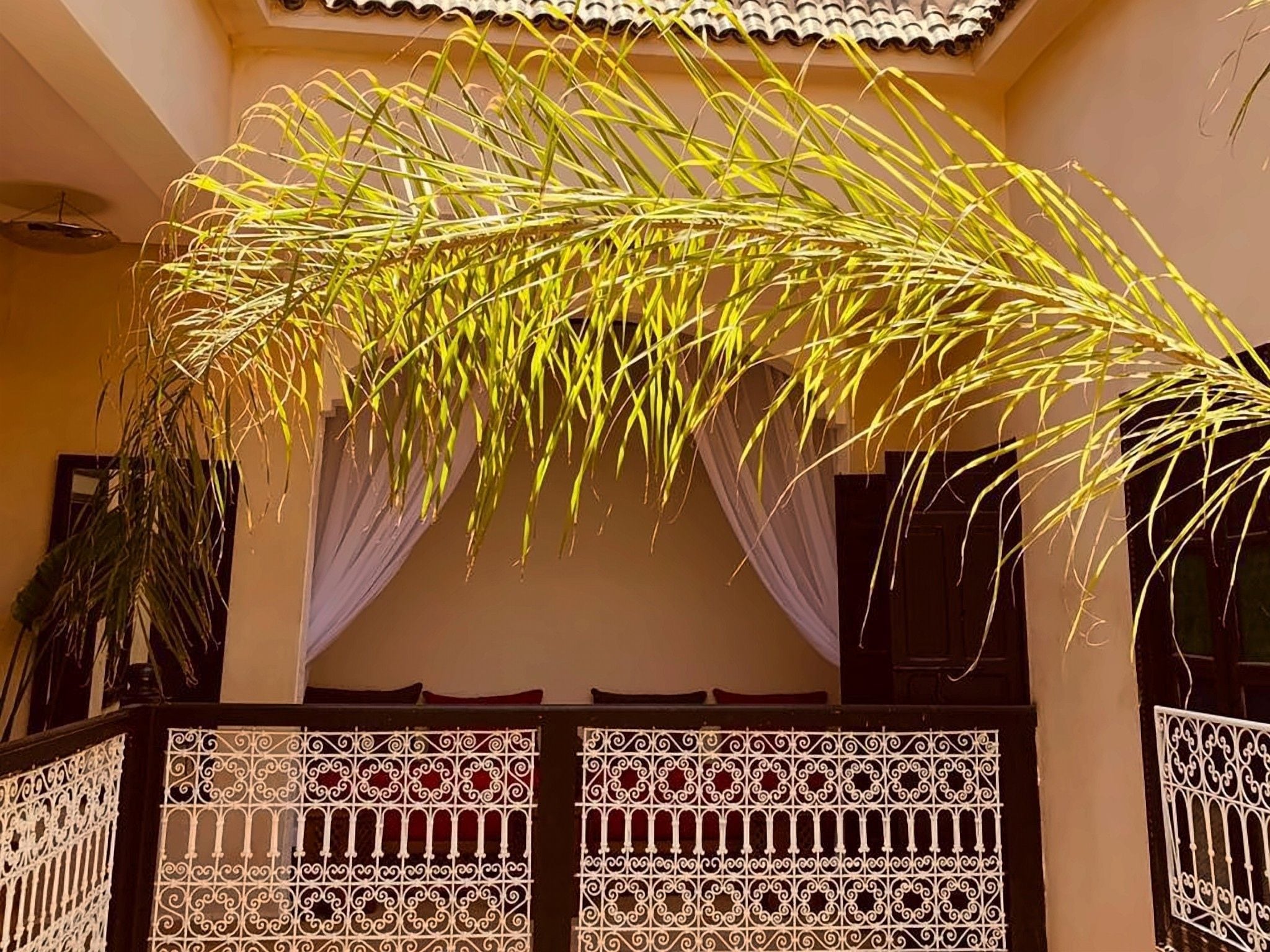Una stanza con un balcone, ringhiere in metallo decorate e una pianta con foglie lunghe e sottili.