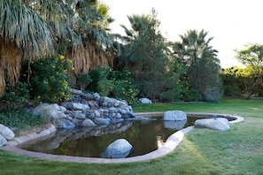 A landscaped garden with a pond, rocks, and various shrubs. - Desert Ranch Retreat, Luxury Stay, Weddings & Special Events (Indio)