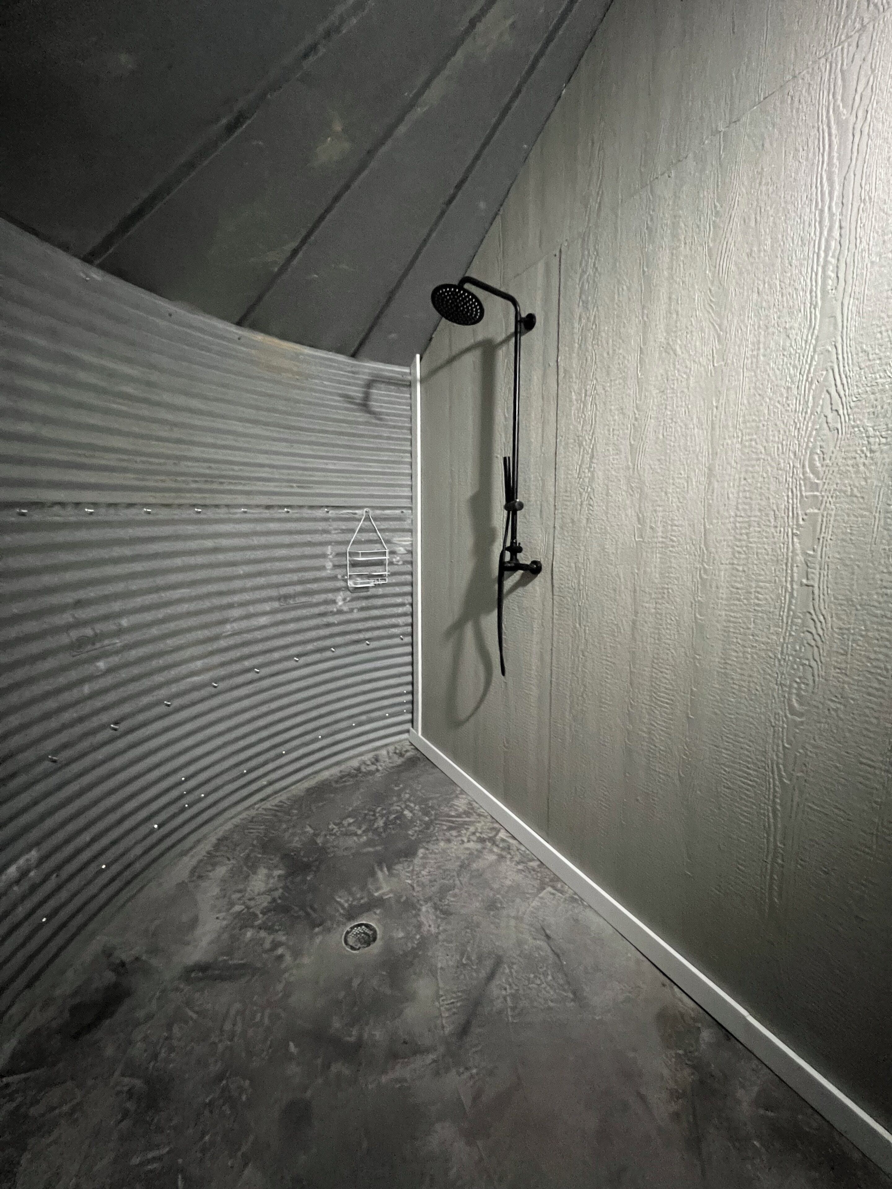 Shower, towels, toilet paper