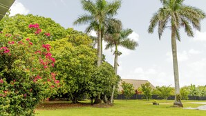 A well-maintained garden with palm trees, flowering bushes, and a grassy lawn.