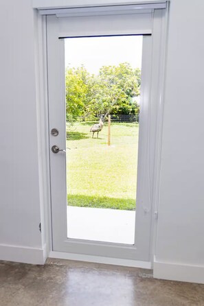 Una porta bianca con un pannello di vetro trasparente, che dà su un prato verdeggiante con un albero e un uccello.
