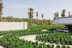 A rooftop garden with potted plants and palm trees.