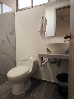 A bathroom with a toilet, a sink, and a mirror.