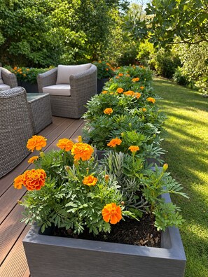 Un jardín con un cantero rectangular lleno de flores de caléndula, una terraza de madera y mobiliario de mimbre.