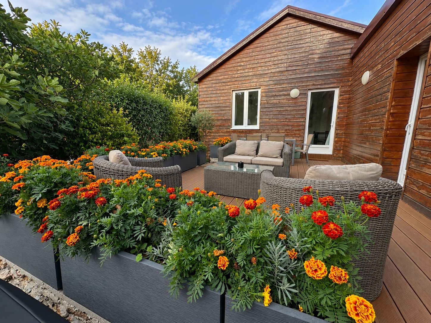 Ett trähus med en uteplats som har möbler av rotting och blomsterrabatter med tagetes.