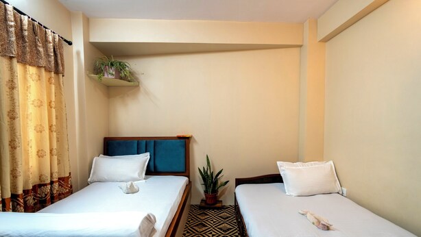 Ein Hotelzimmer mit zwei Einzelbetten, einem gemusterten Teppich, einem kleinen Blumentopf und einem Regal mit Dekoration.