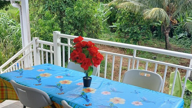 Ein Tisch mit einer blumigen Tischdecke, zwei Stühle und ein Blumentopf mit roten Blüten auf einem Balkon mit weißer Brüstung.