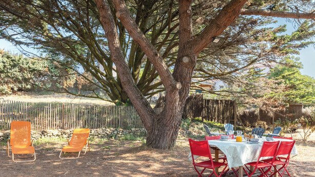 Ein Essbereich im Freien mit einem Tisch für vier Personen, umgeben von roten Stühlen, unter einem großen Baum.