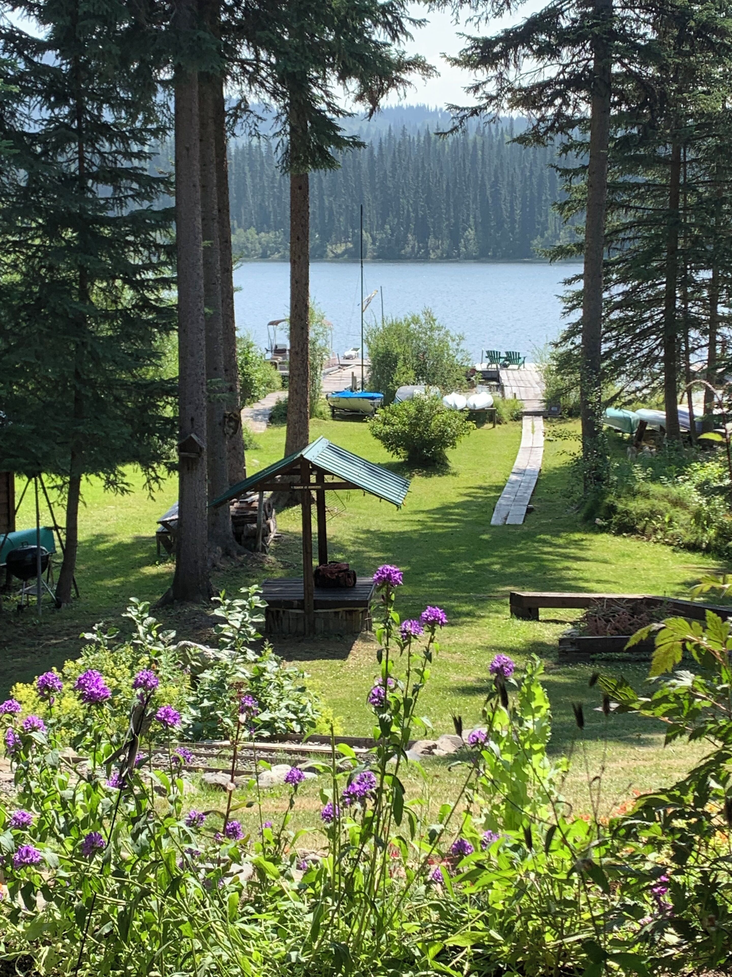 A lakeside cabin with a deck, surrounded by trees and a view of the lake.