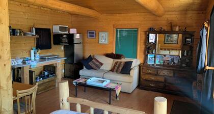 Small Waterfront Cabin on Little Lac Des Roches… pet friendly… moorage available