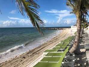 A beach with rows of green lounge chairs and palm trees. - P15 - Waterfront, ground level duplex with Cabana Club (Key Colony Beach)