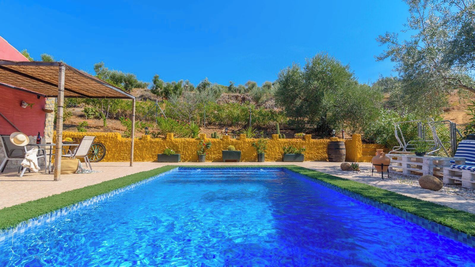 A swimming pool with a clear blue water surface, surrounded by a landscaped garden with various plants and a yellow wall.