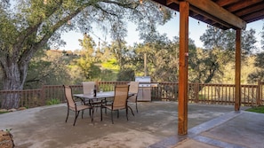 Eine Terrasse im Freien mit Tisch, Stühlen, einem Grill und einer Holzhütte.