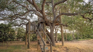 A wooden treehouse with a staircase built into the trunk, surrounded by a natural setting. - Oaks and Roses Ranch by Avantstay Pool + Game Room Paso Wine Country (Paso Robles)