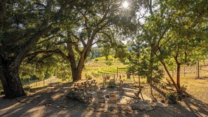 Ein Weinberg mit Picknicktischen und Bänken unter großen Bäumen.