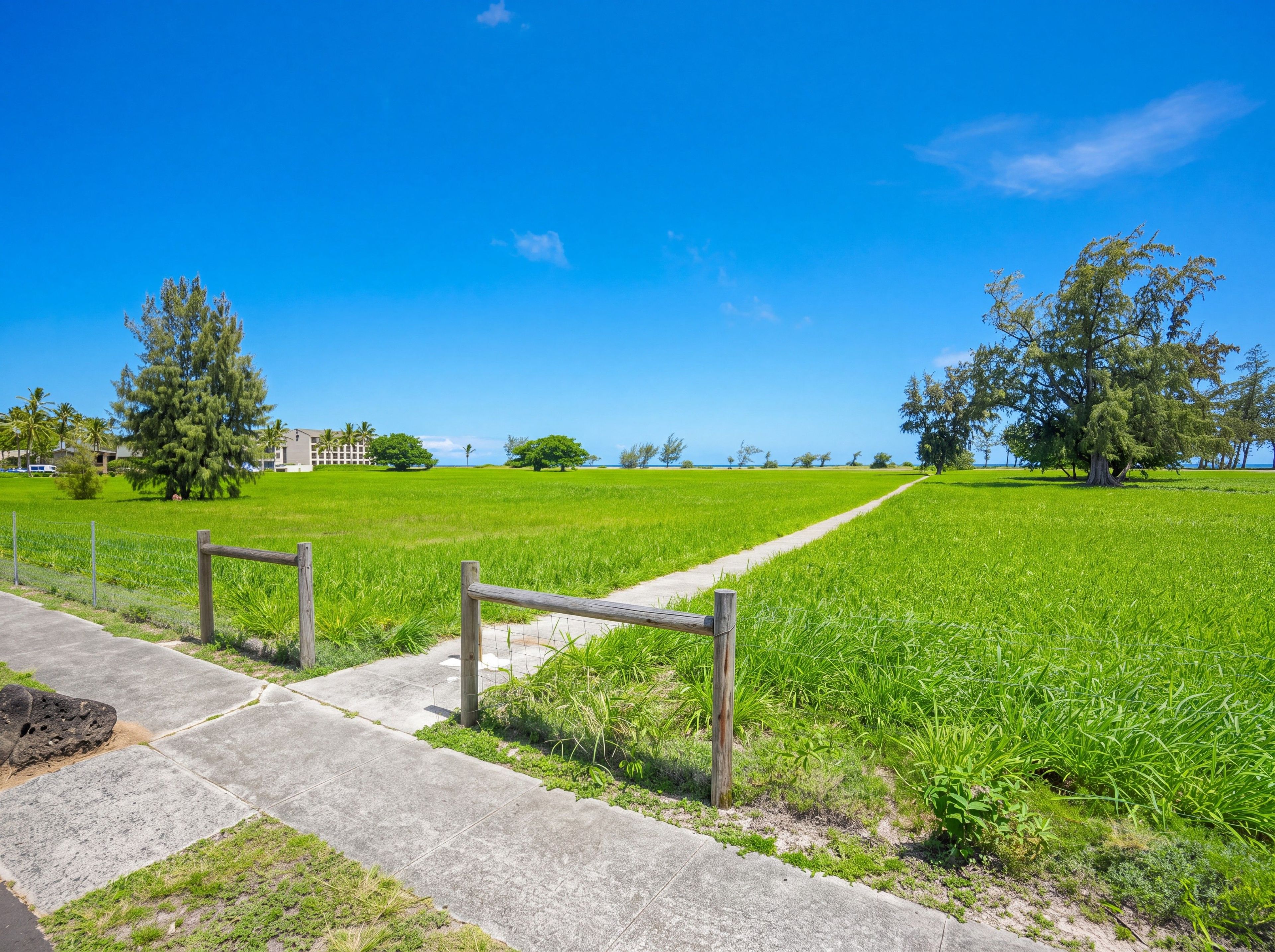 A pathway leading through a grassy field with trees and a clear blue sky.