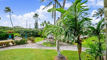 Un jardin tropical avec des palmiers, un sentier et un bâtiment doté d’un toit en pente.