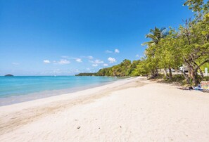 Ein Strand mit klarem türkisblauem Wasser, einem sandigen Ufer und üppigen, grünen Bäumen.
