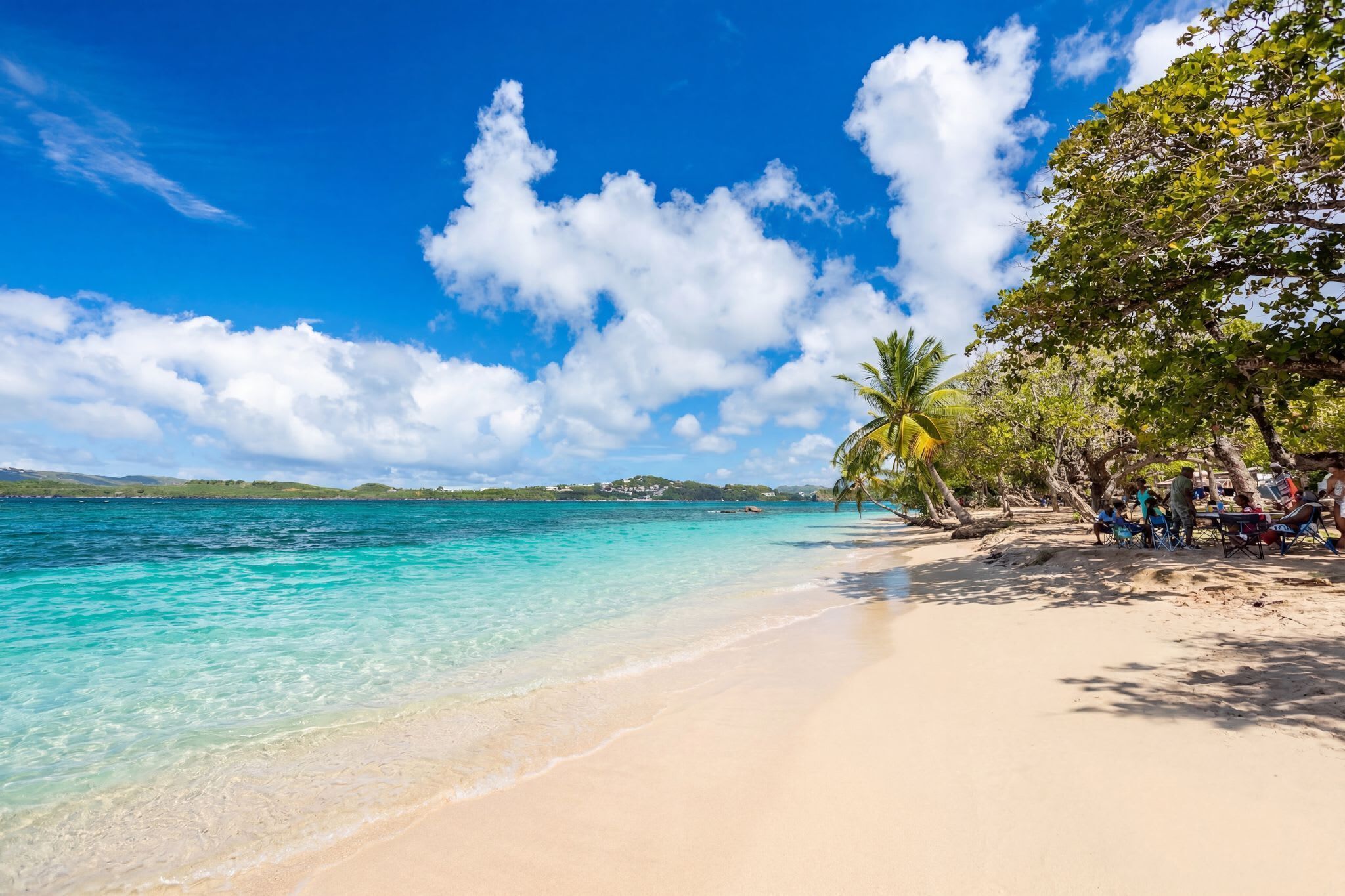 A beach with clear turquoise water, a sandy shore, and a line of palm trees.